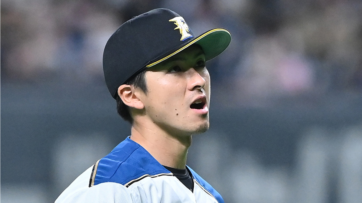 上沢登場曲に注文アリ 出てくる前から流れてほしい 道新スポーツ Doshin Sports 上沢登場曲に注文アリ 出てくる前から流れてほしい 道新スポーツ Doshin Sports