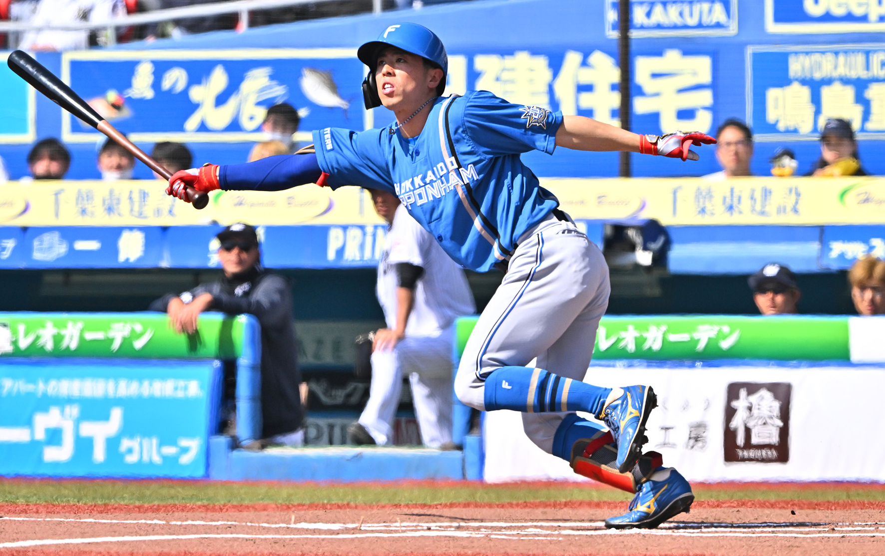 五十幡 3打数3安打2盗塁 初対戦の先輩・沢村からも右前打 | 道新スポーツ | DOSHIN SPORTS