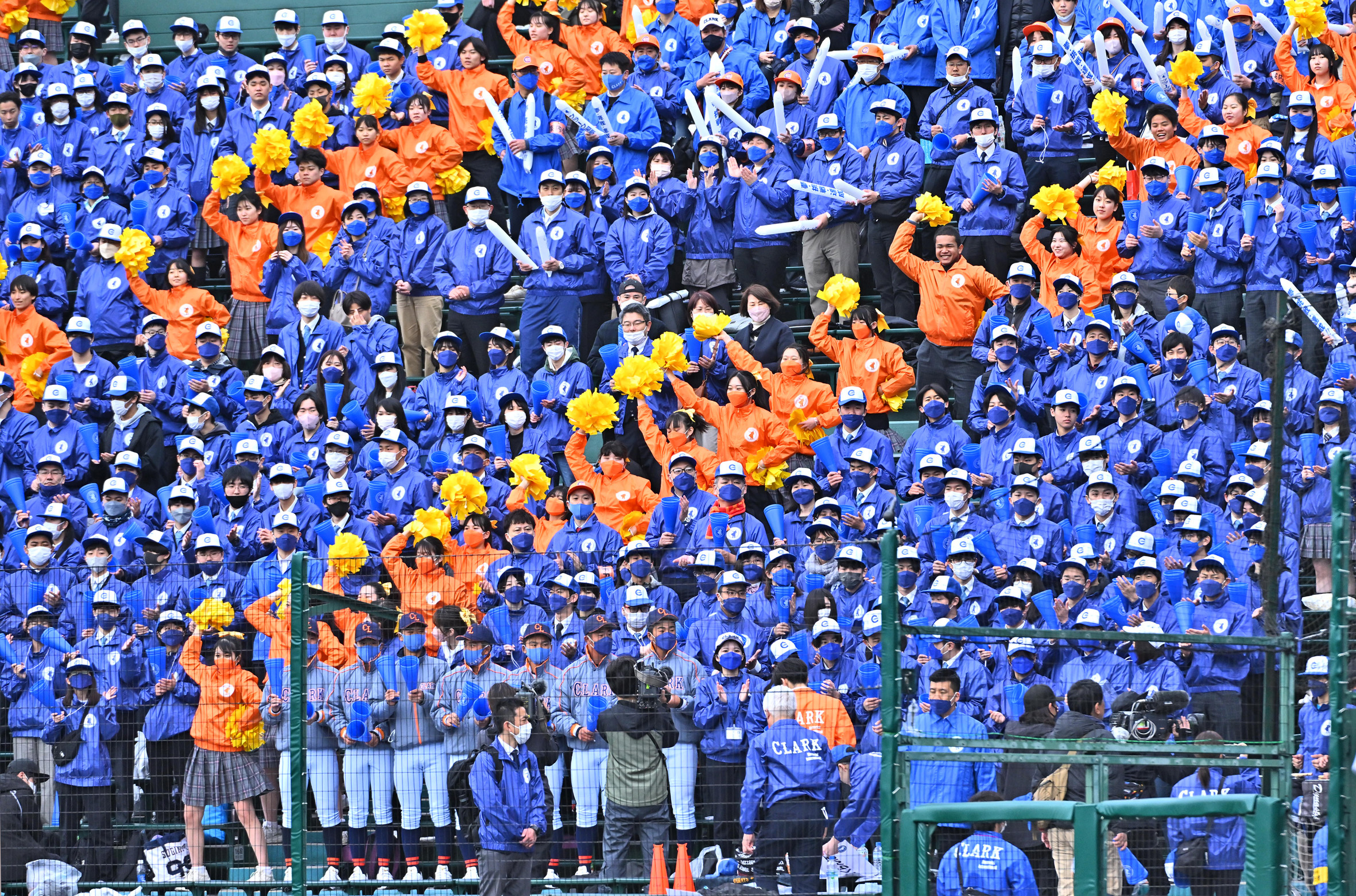 二回、盛り上がる一塁側スタンド